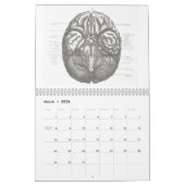 Anatomie-Kalender Kalender (Mär 2026)