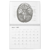 Anatomie-Kalender Kalender (Mär 2027)