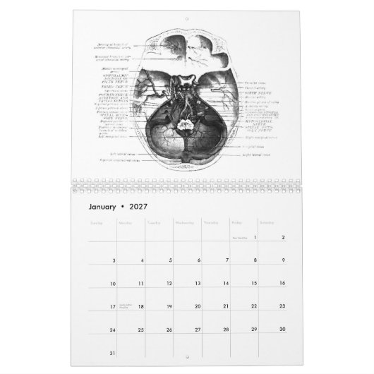 Anatomie-Kalender Kalender (Jan 2027)