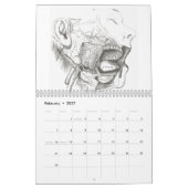 Anatomie-Kalender Kalender (Feb 2027)