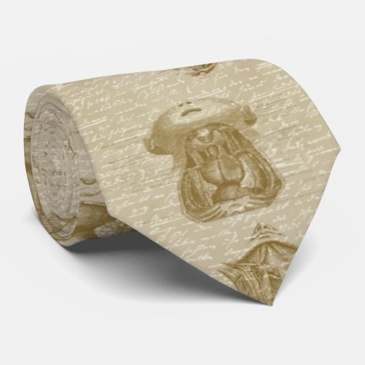 Anatomie-Krawatte Krawatte (Gerollt)