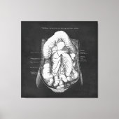 Anatomie Kunst des Verdauungsapparates - Geschenk Leinwanddruck (Vorderseite)