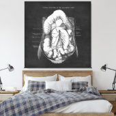 Anatomie Kunst des Verdauungsapparates - Geschenk Leinwanddruck (Insitu (Schlafzimmer))