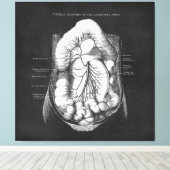 Anatomie Kunst des Verdauungsapparates - Geschenk  Leinwanddruck (Insitu (Holzboden))