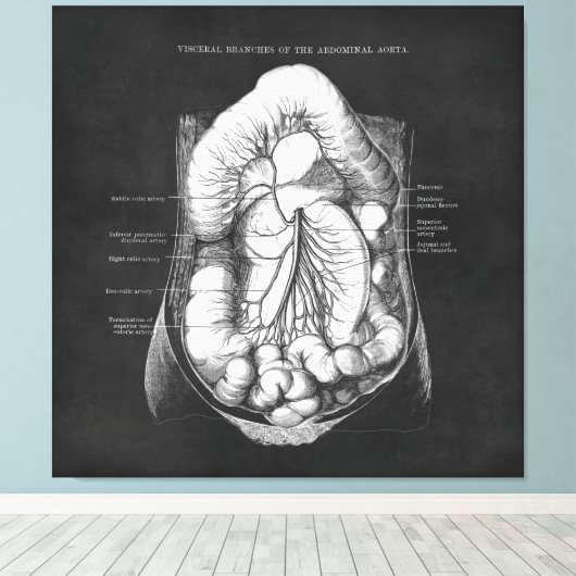 Anatomie Kunst des Verdauungsapparates - Geschenk Leinwanddruck (Insitu (Holzboden))
