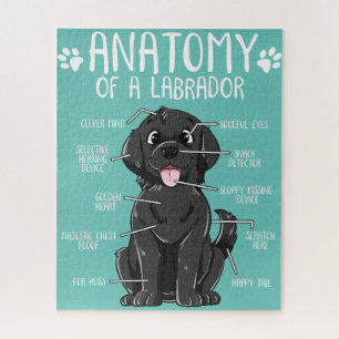 Anatomie Labrador Retriever Black Lab Besitzer Puzzle