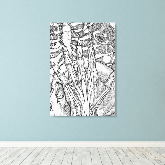 Anatomie Leinwanddruck (Insitu (Holzboden))