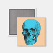 Anatomie Magnet (Vorderseite/Rückseite)