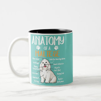 Anatomie Maltese Hundeliebhaber Zweifarbige Tasse