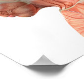 Anatomie männlicher Kopfmuskeln in verschiedenen P Poster (Ecke)