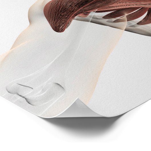 Anatomie männlicher Muskeln im Oberkörper 1 Poster (Ecke)