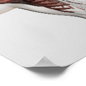 Anatomie männlicher Muskeln im Oberkörper, im vord Poster (Ecke)