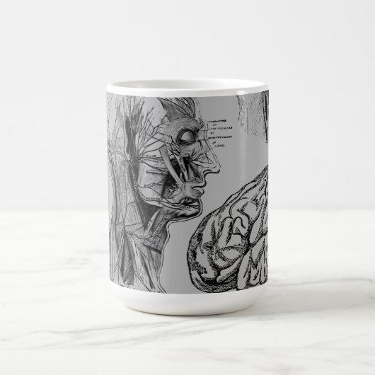Anatomie Medizinische Tasse (Mittel)