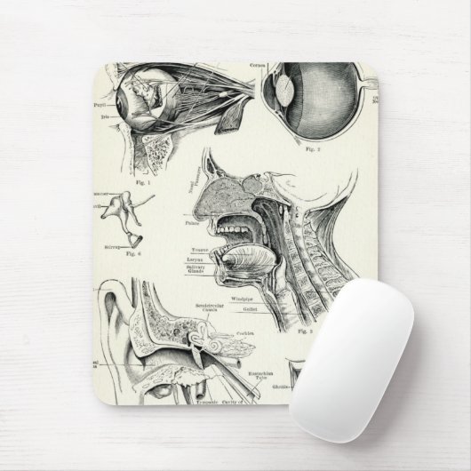 Anatomie - Menschen-Richtungen Mousepad (Mit Mouse)
