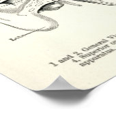 Anatomie - menschliche Sinne Poster (Ecke)