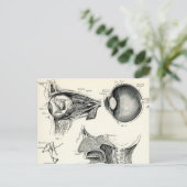 Anatomie - menschliche Sinne Postkarte (Stehend Vorderseite)