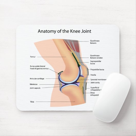 Anatomie menschlichen Kniegelenk mousepad (Mit Mouse)