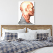 Anatomie menschlicher Gesichtsmuskeln, Seitenansic Leinwanddruck (Insitu (Schlafzimmer))