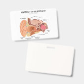 Anatomie menschlicher Ohren Ausweis (Vorder- & Rückseite)