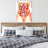 Anatomie menschlicher Organe Leinwanddruck (Insitu (Schlafzimmer))