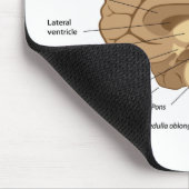 Anatomie Mousepad des menschlichen Gehirns (Ecke)