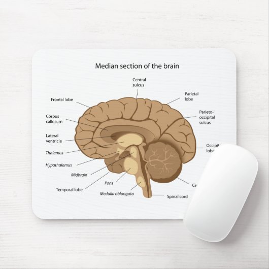 Anatomie Mousepad des menschlichen Gehirns (Mit Mouse)