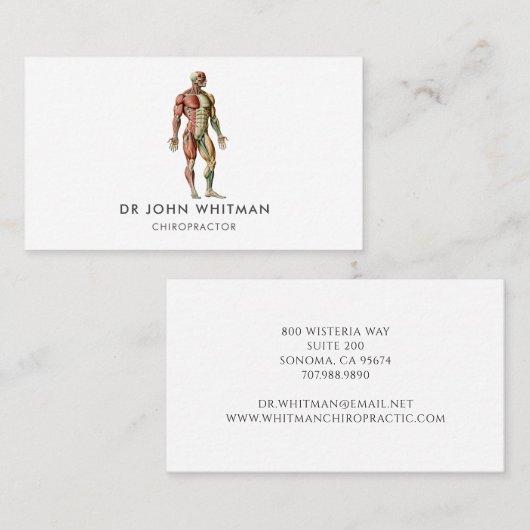 Anatomie Muskeln Chiropraktor Visitenkarte (Vorne/Hinten)