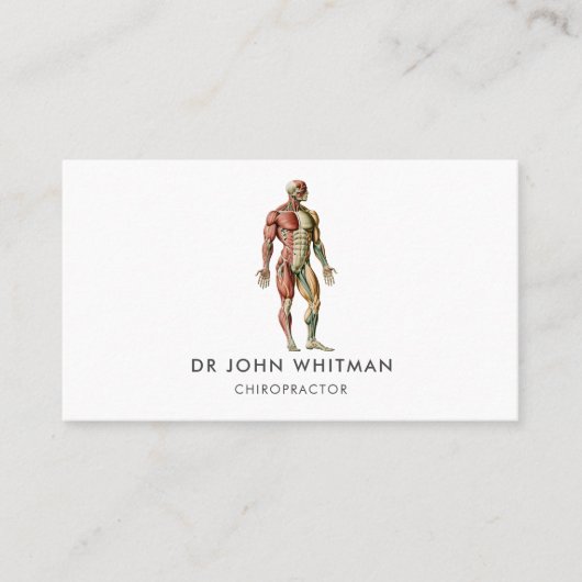 Anatomie Muskeln Chiropraktor Visitenkarte (Vorderseite)