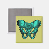 Anatomie Pelvis Knochen Magnet (Vorderseite/Rückseite)