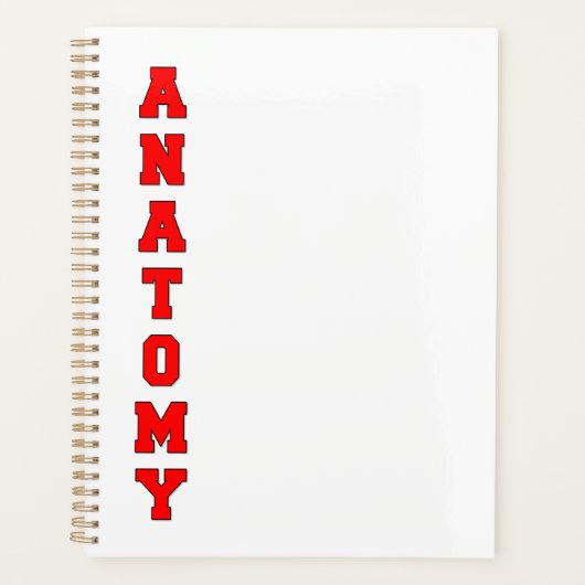 Anatomie Planer (Vorderseite)