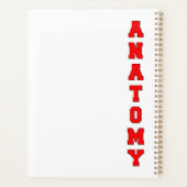 Anatomie Planer (Rückseite)