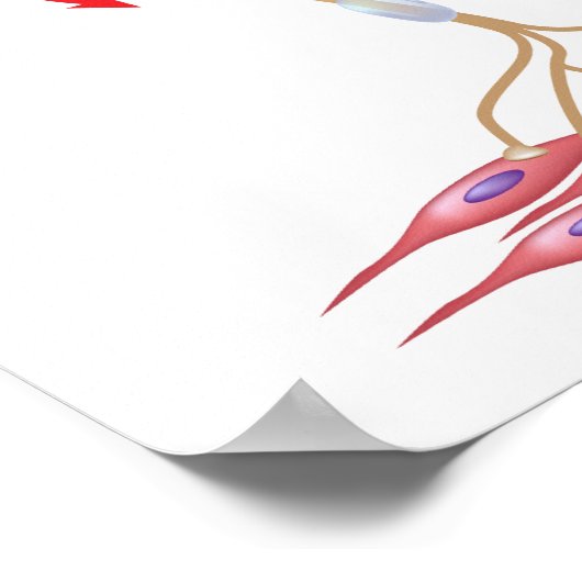 Anatomie-Poster für motorische Neuronen Poster (Ecke)