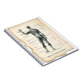 Anatomie Posterior Notizblock (Rechte Seite)