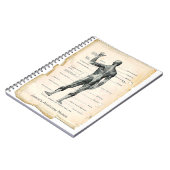 Anatomie Posterior Notizblock (Linke Seite)