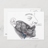 Anatomie Postkarte (Vorne/Hinten)