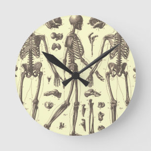 Anatomie Runde Wanduhr