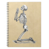 Anatomie Skeleton Illustration Notizblock (Vorderseite)