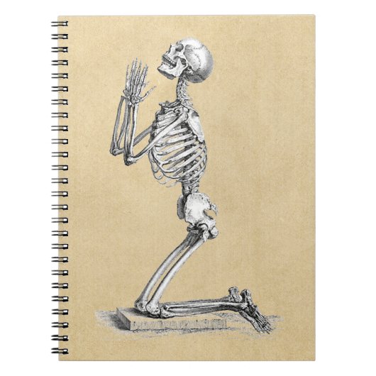 Anatomie Skeleton Illustration Notizblock (Vorderseite)