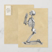 Anatomie Skeleton Illustration Postkarte (Vorne/Hinten)