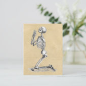 Anatomie Skeleton Illustration Postkarte (Stehend Vorderseite)