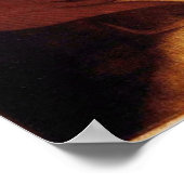 Anatomie/Skelett des hinteren weiblichen Posters Poster (Ecke)