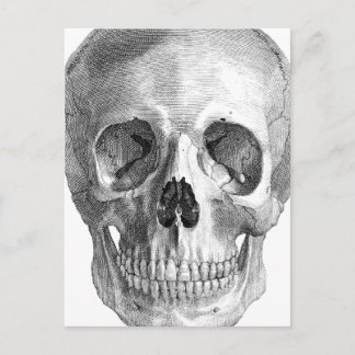 Anatomie-Skizze des menschlichen Schädels Postkarte