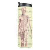 Anatomie Thermosbecher (Nach rechts gedreht)