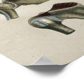 Anatomie Vintag Poster (Ecke)