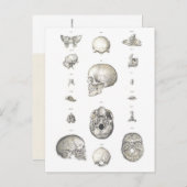 Anatomie Vintager Schädel und Knochen Postkarte (Vorne/Hinten)