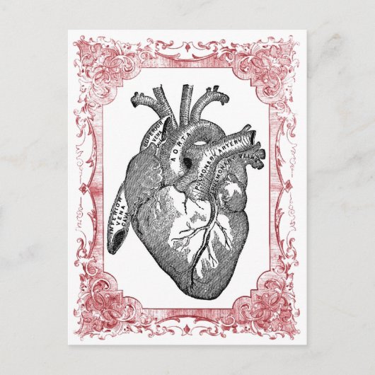 Anatomie Vintages Herz Valentine Postkarte (Vorderseite)