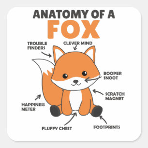 Anatomie von Fox Quadratischer Aufkleber
