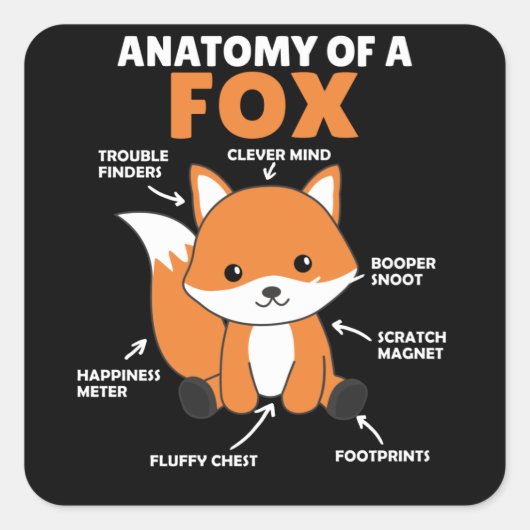Anatomie von Fox Quadratischer Aufkleber (Vorderseite)