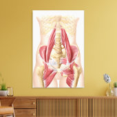 Anatomie von Iliopsoa, die Angesagten Rückenmuskel Leinwanddruck (Insitu (Wohnzimmer))