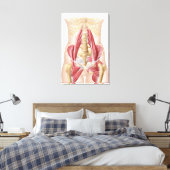 Anatomie von Iliopsoa, die Angesagten Rückenmuskel Leinwanddruck (Insitu (Schlafzimmer))